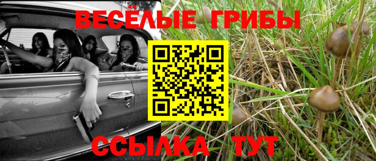 Галлюциногенные грибы Psilocybine cubensis  Вход с VPN  Коряжма 